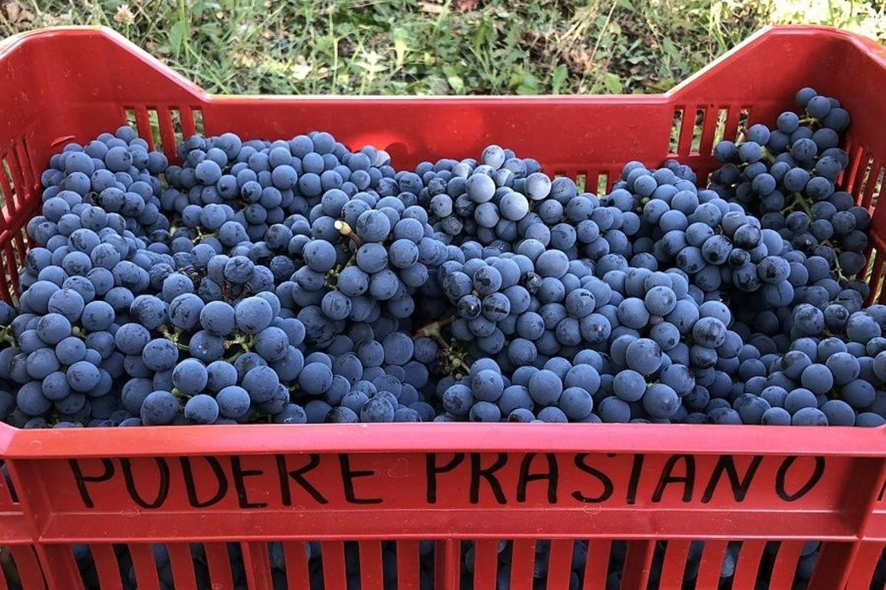Agriturismo Podere Prasiano Marano sul Panaro Exterior foto